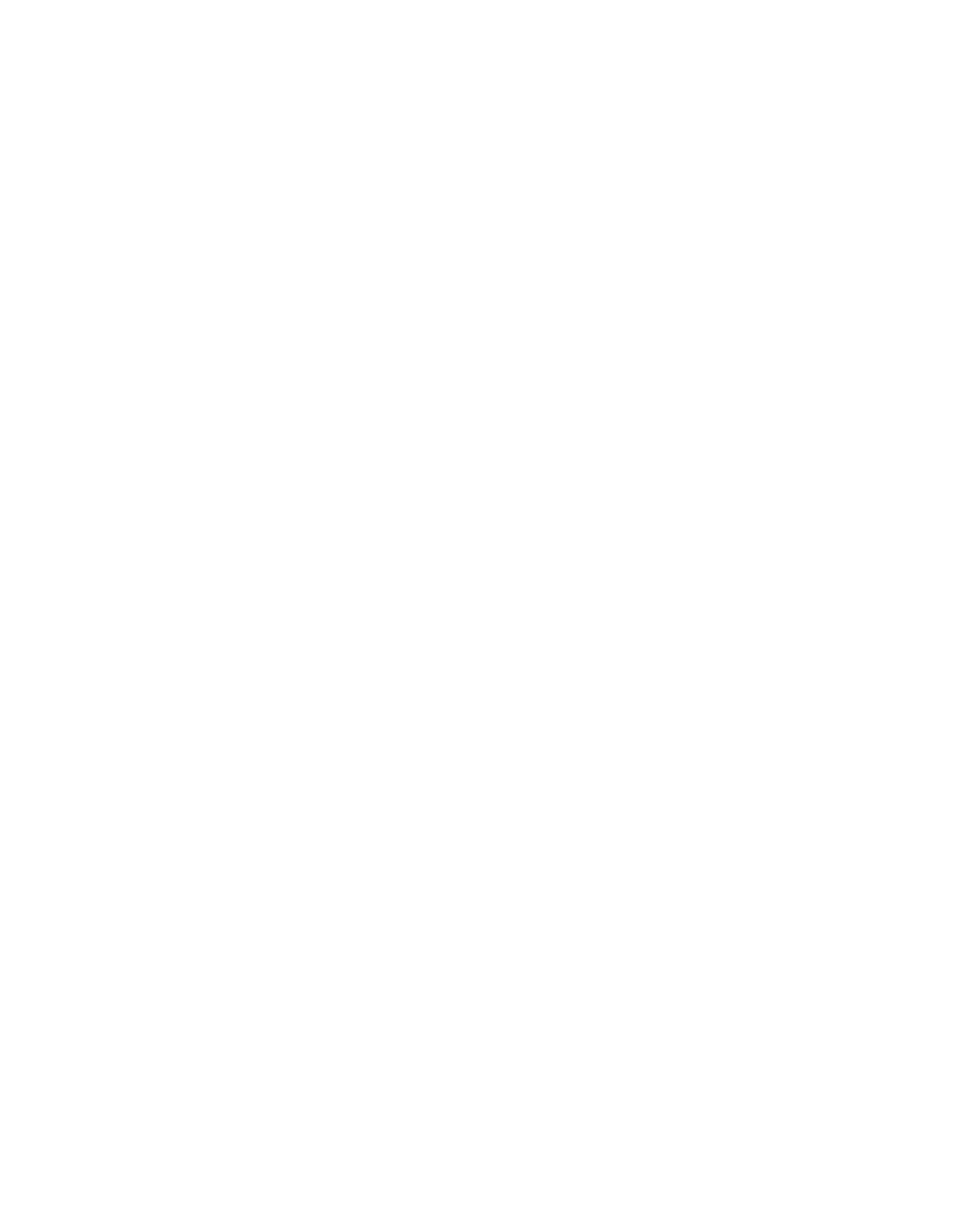 Logo de SkiMax, escuela de esquí en Bariloche